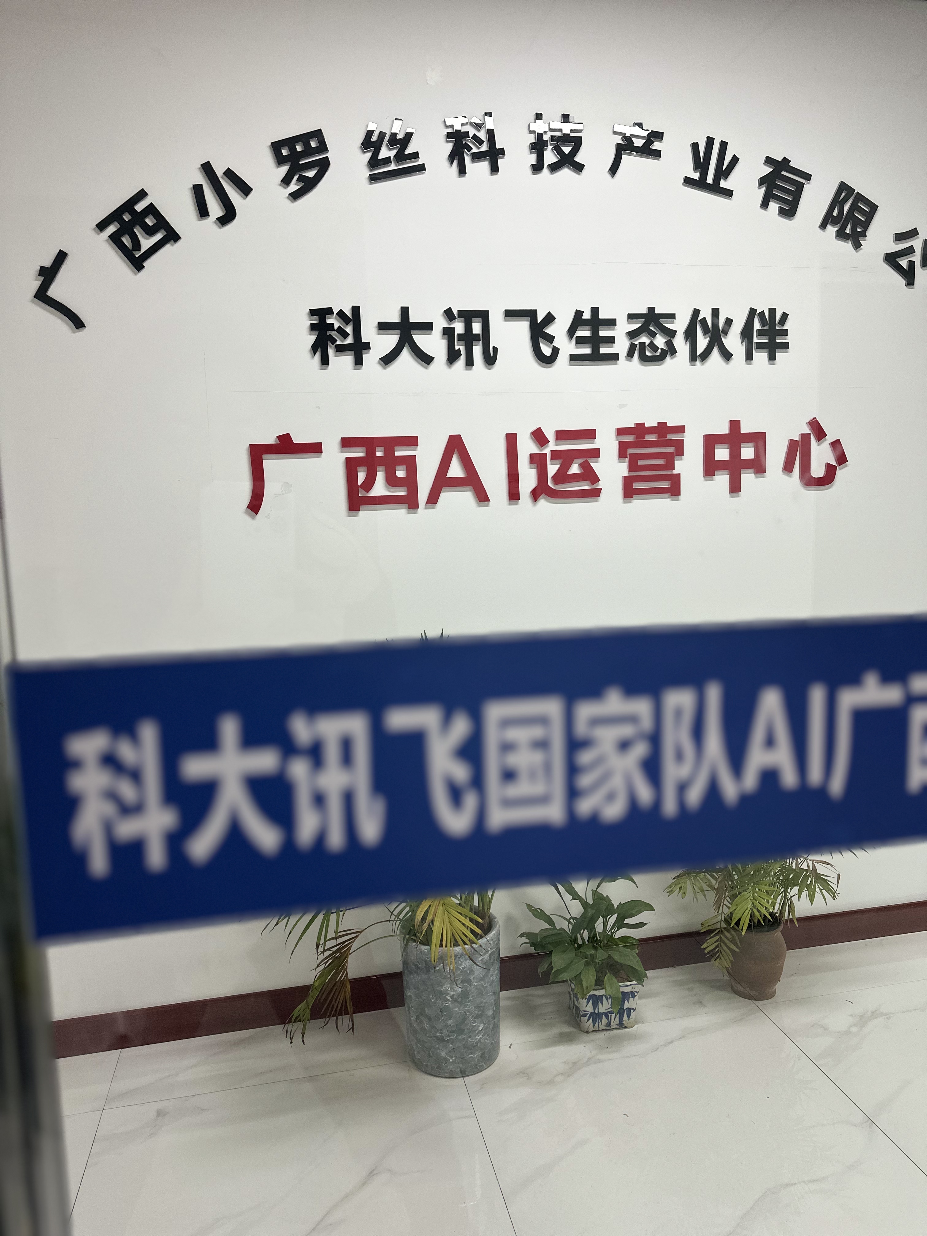 小罗丝所获市场认可与奖项