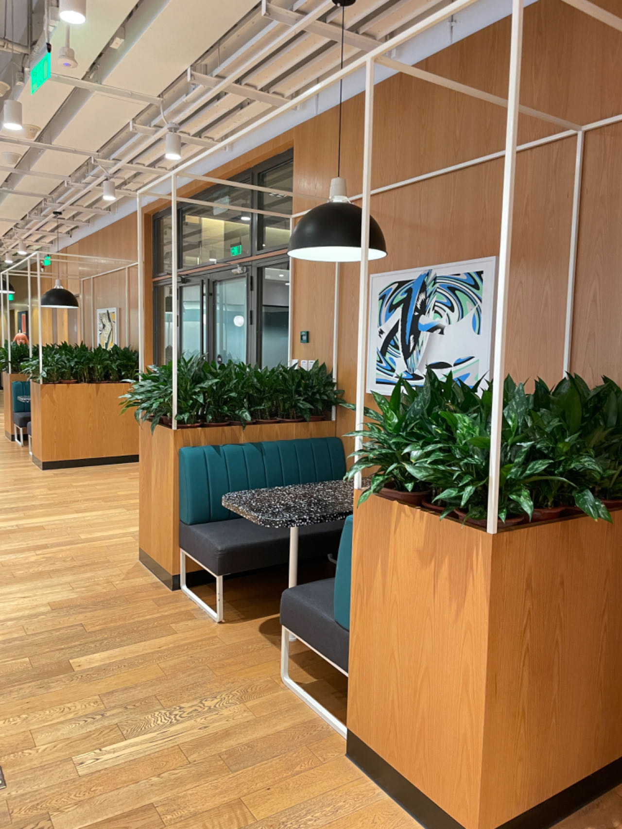 上海花卉租赁服务展示