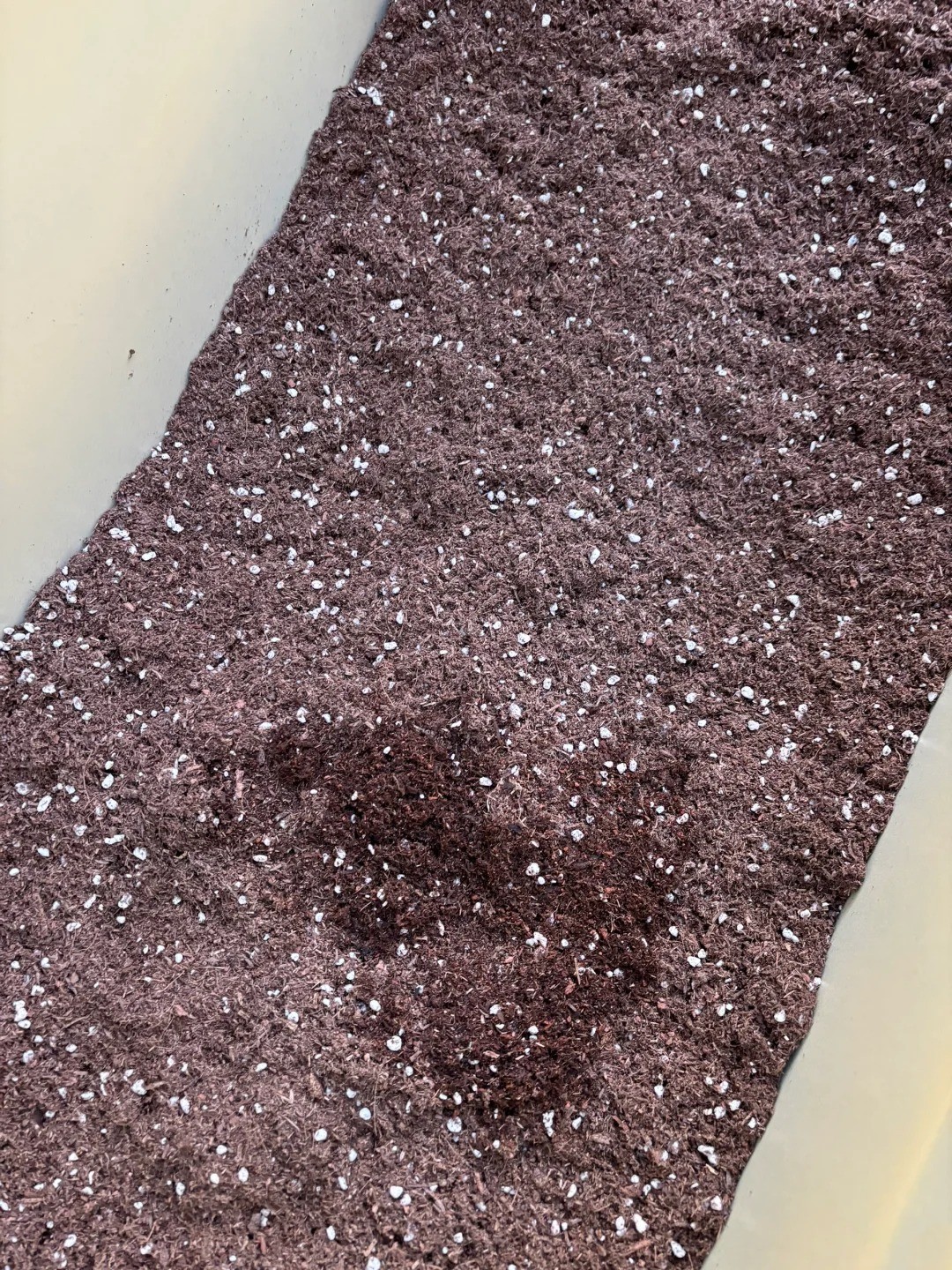 雅安市名山区时昌禽业有限责任公司厂区或产品展示