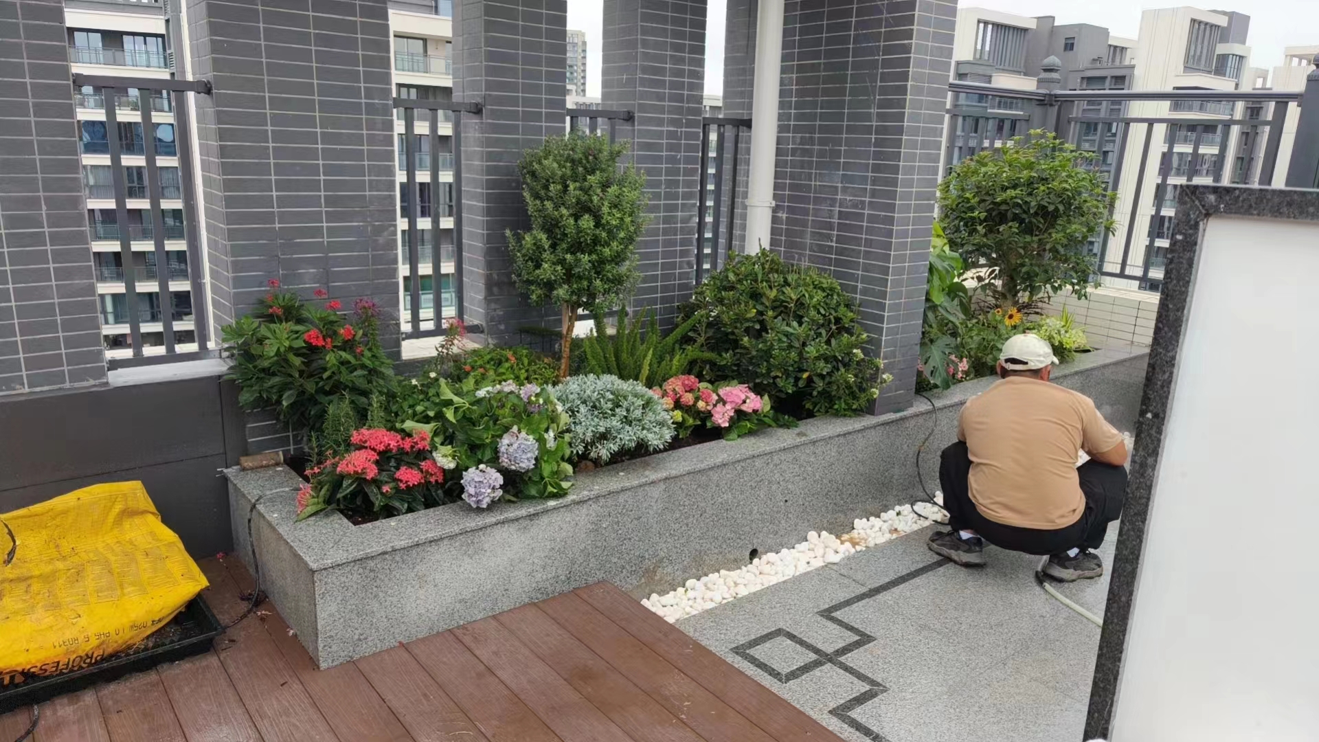 公司园艺场展示