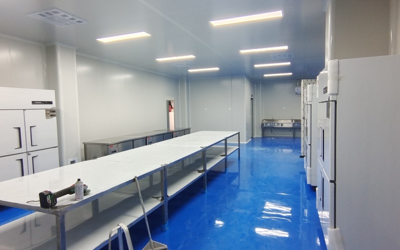 洁净室气流组织模拟分析图