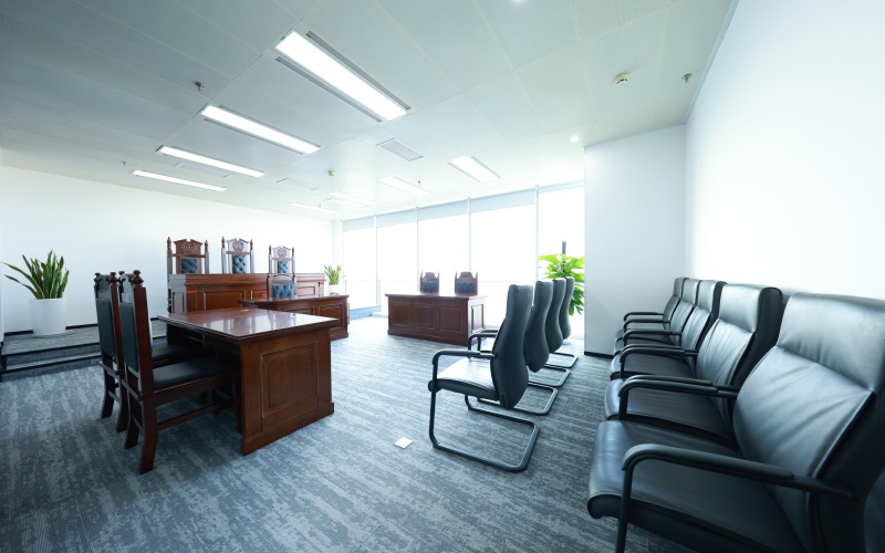 专业法律咨询与服务场景