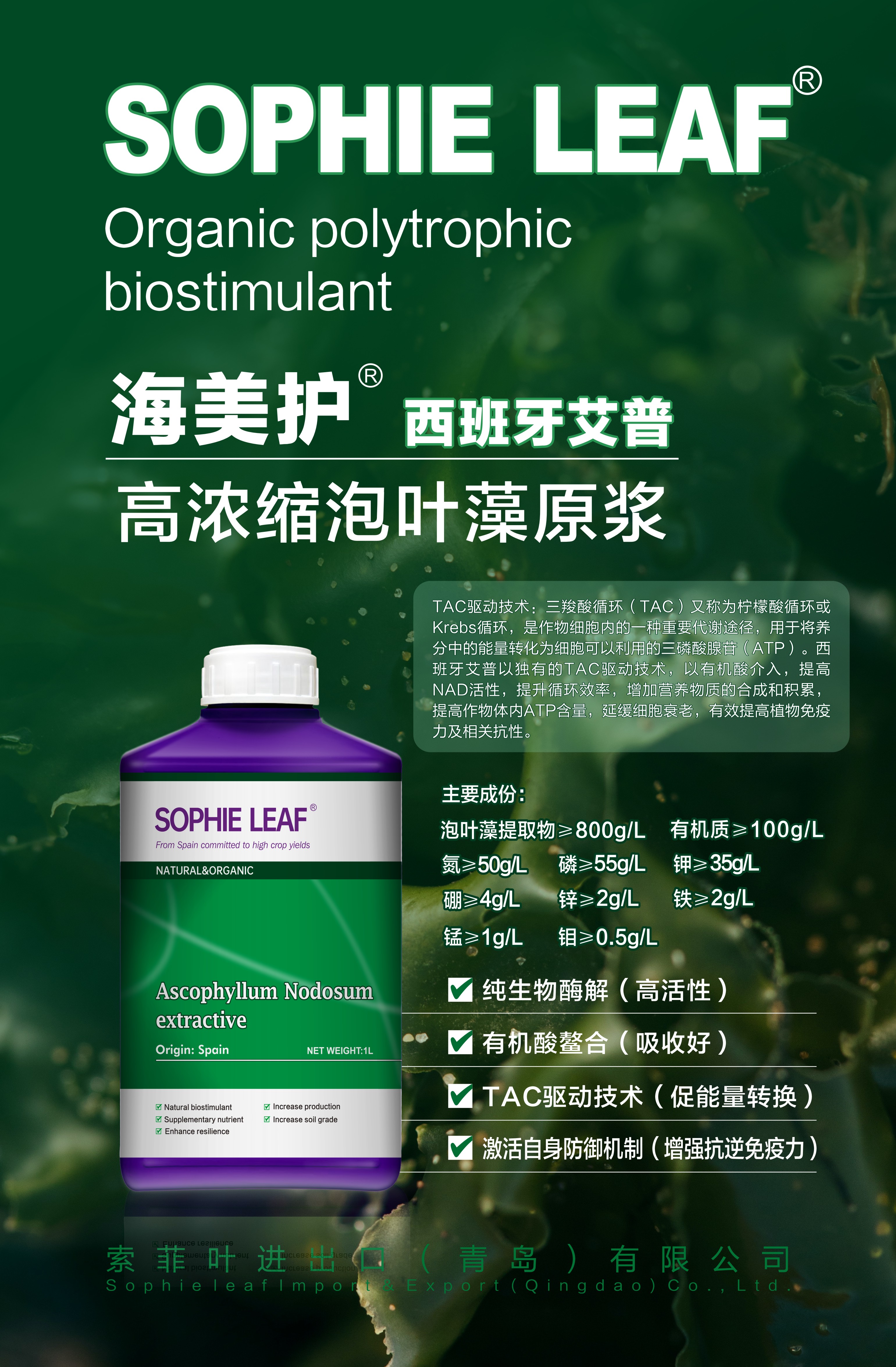 索菲叶产品展示