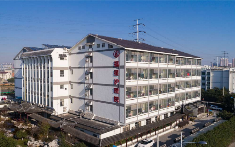 医养结合服务模式示意图