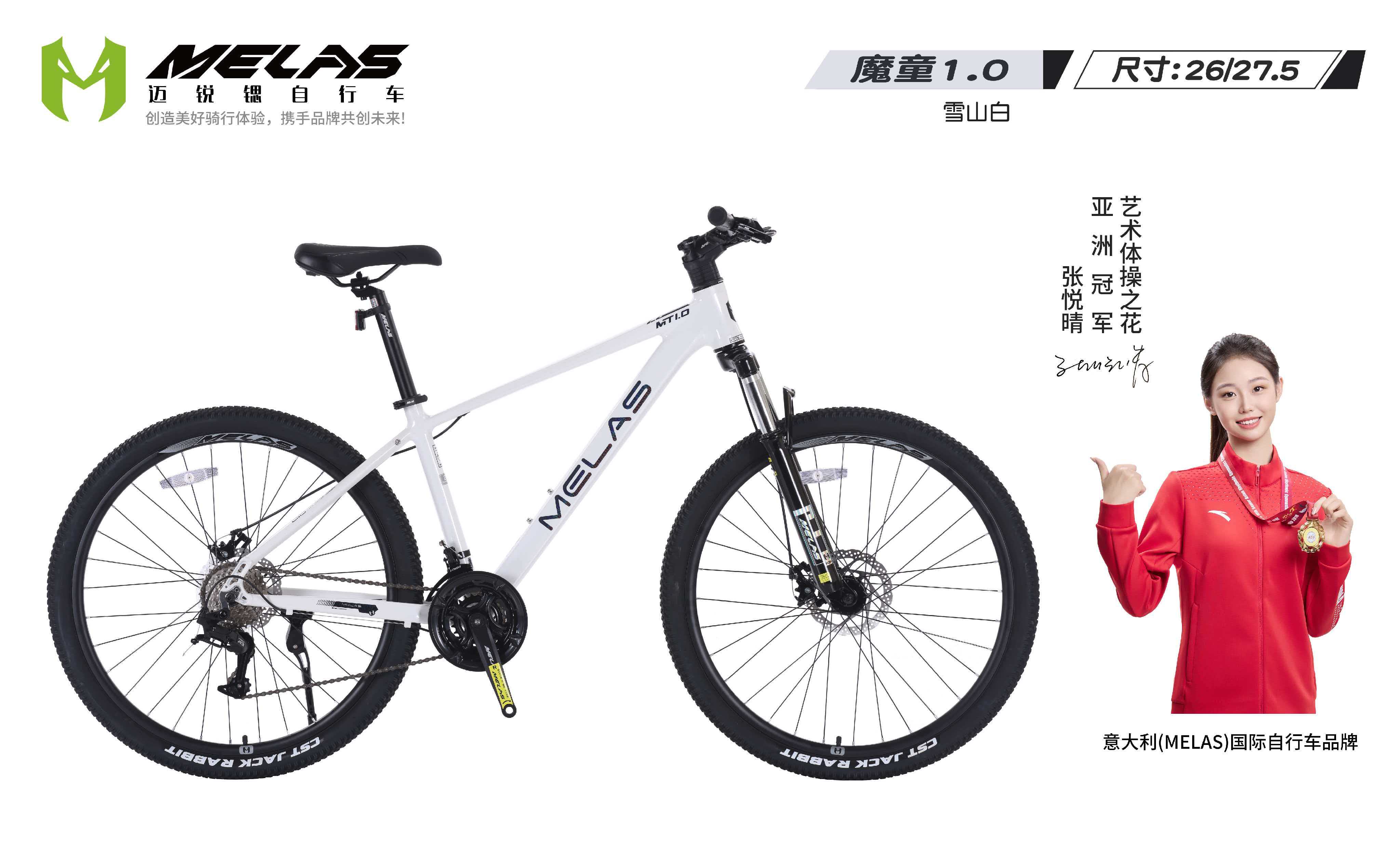 MELAS迈瑞锶产品矩阵示意图