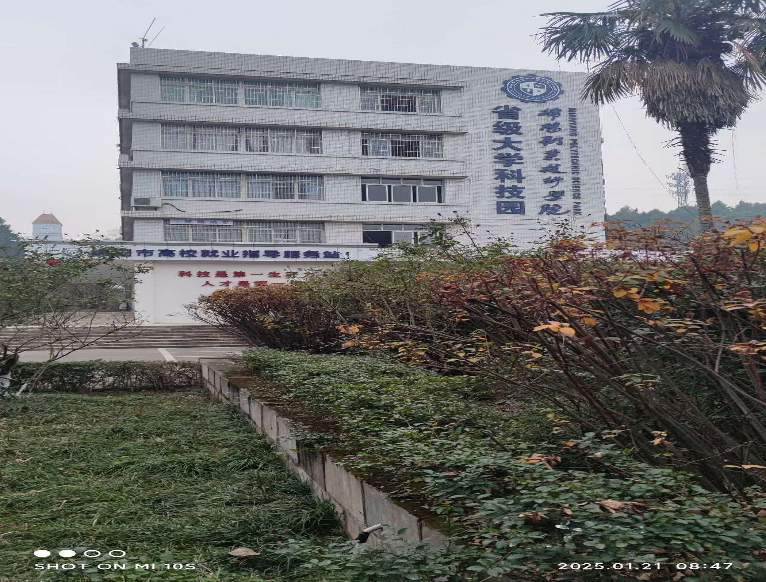 低成本处理设备