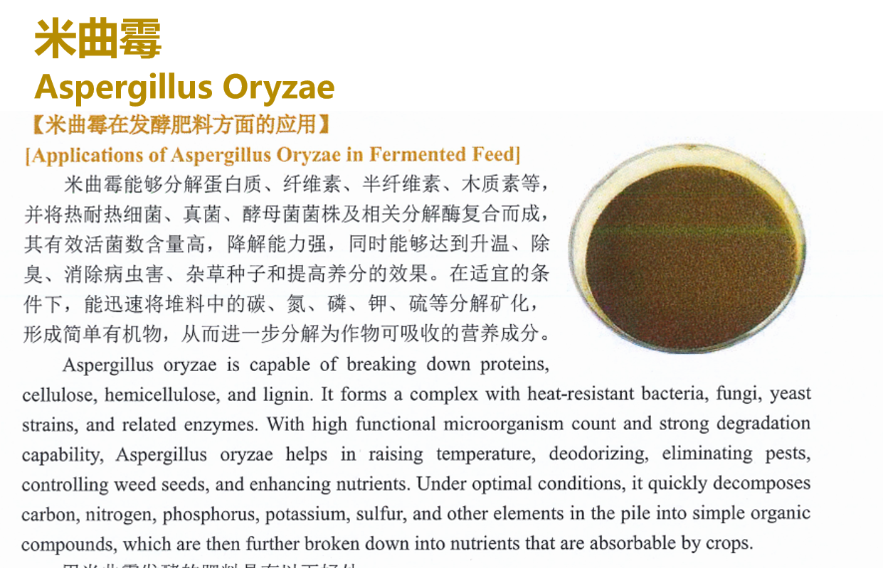 生物科技创新驱动产业升级