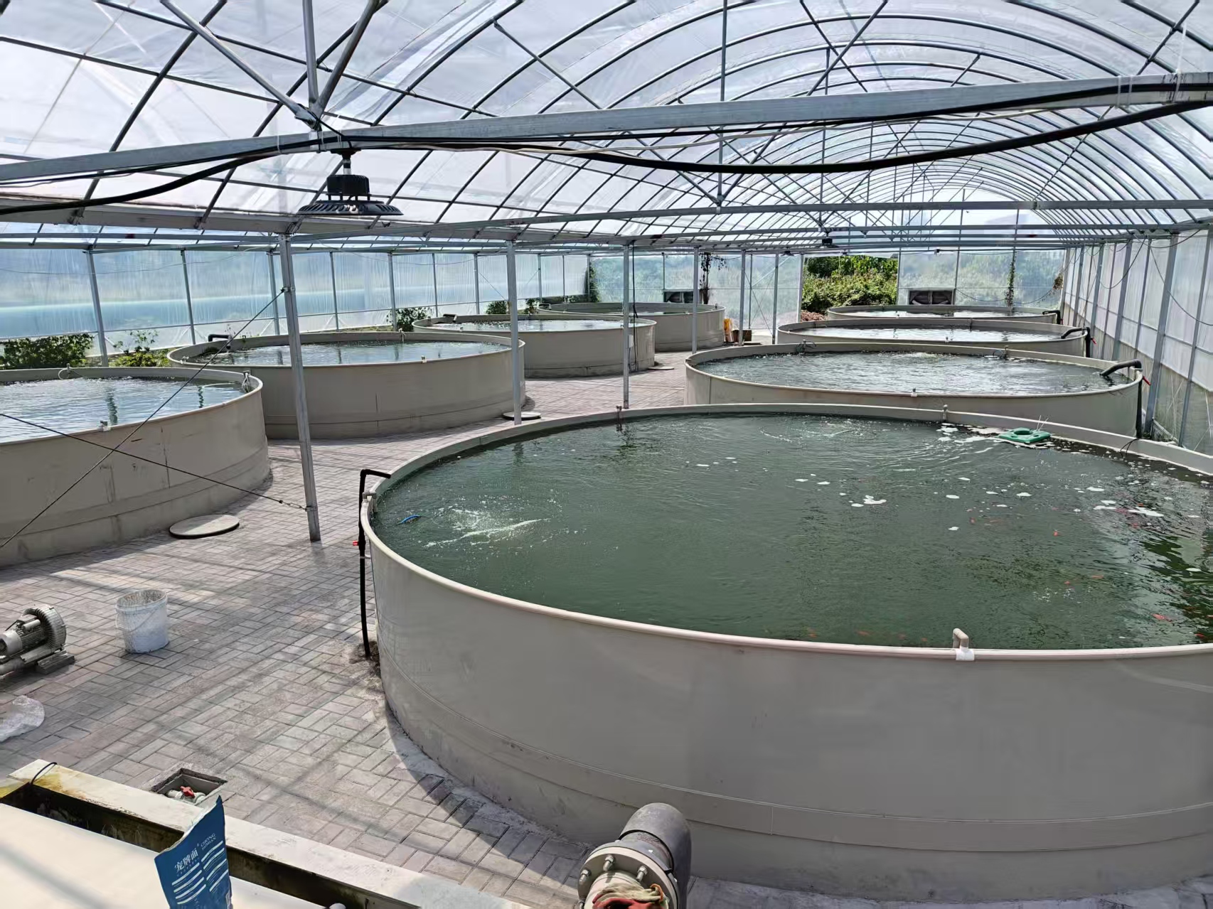 PP鱼池应用场景