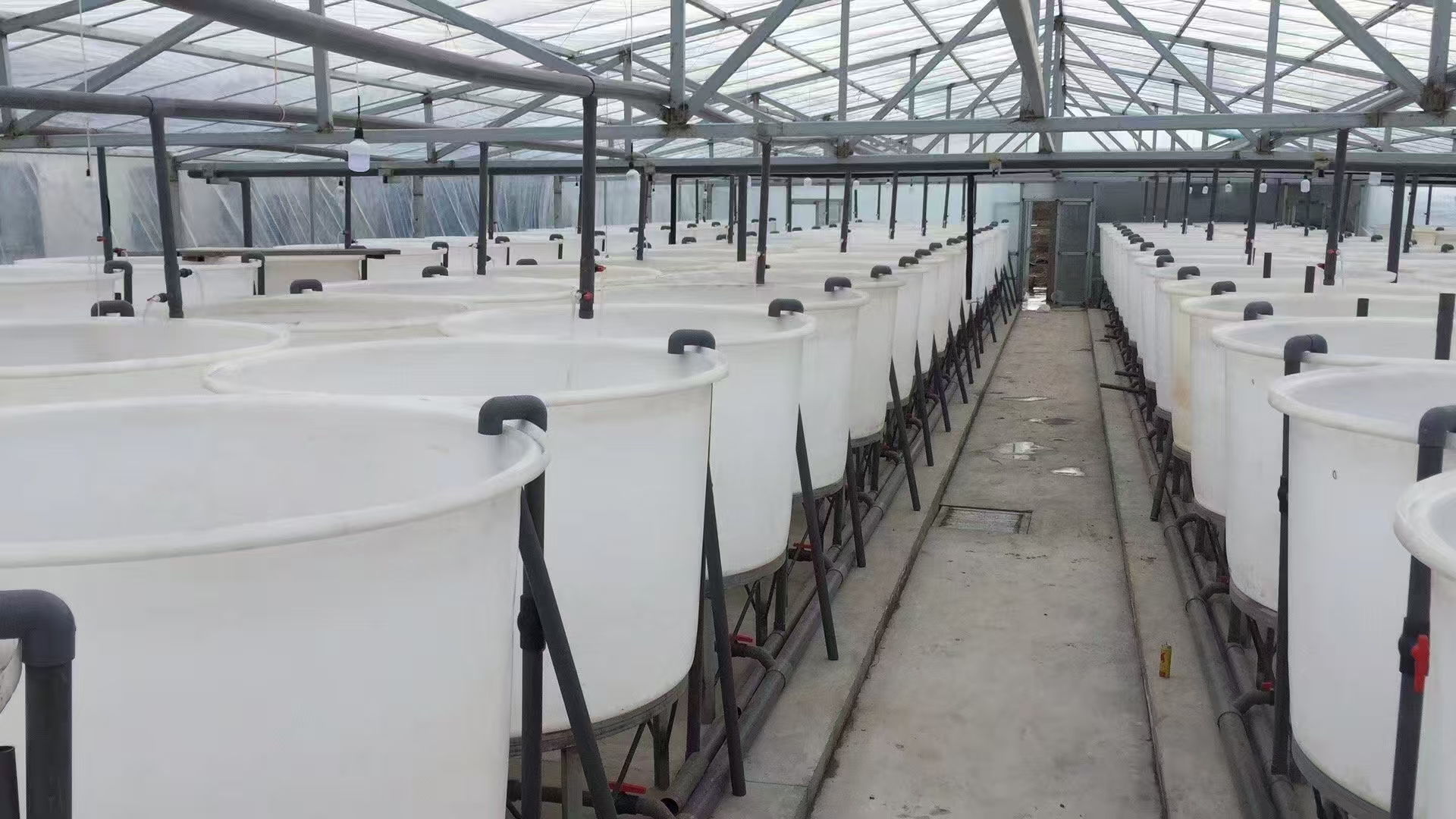 养殖桶产品示意图