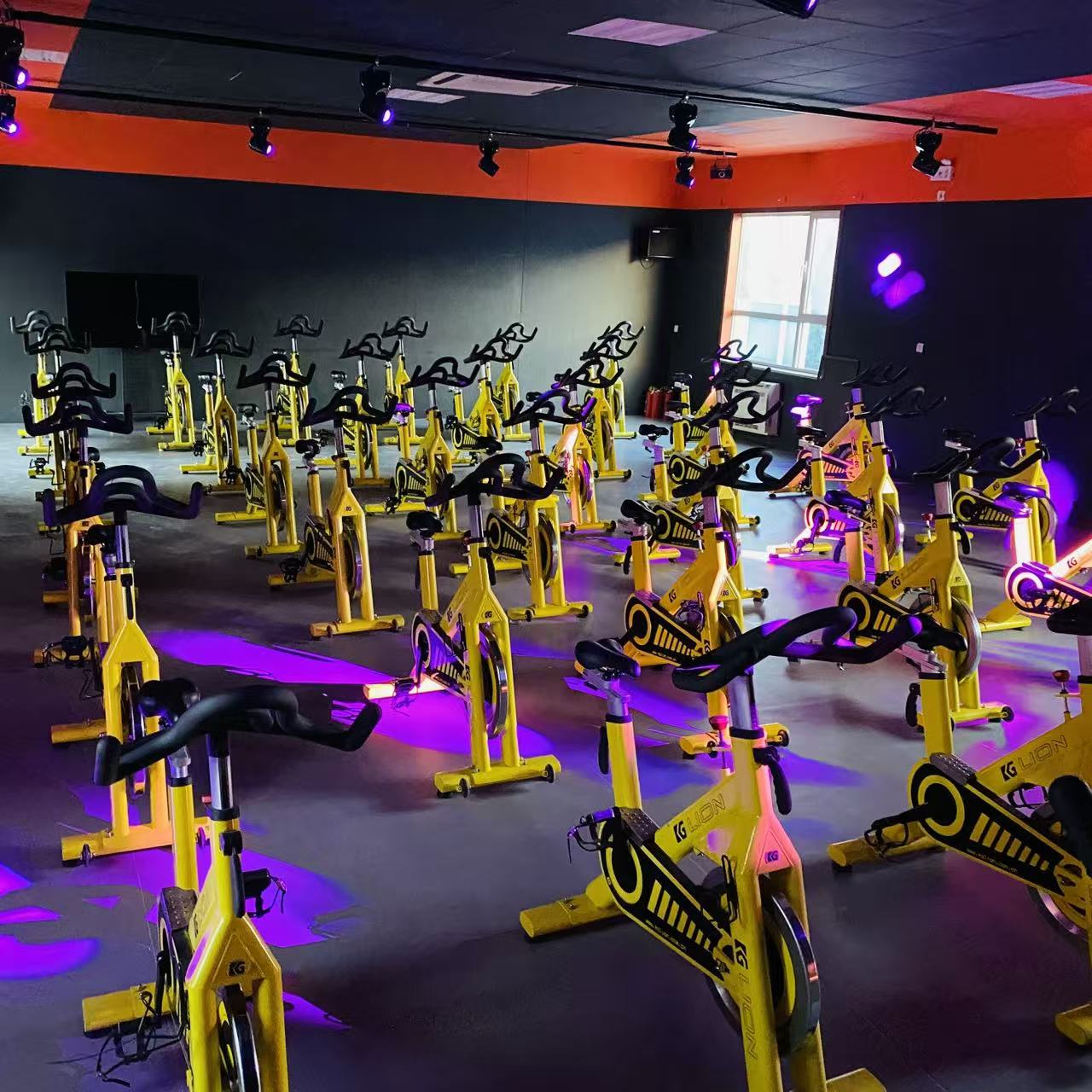 学员在教练指导下进行科学训练的场景