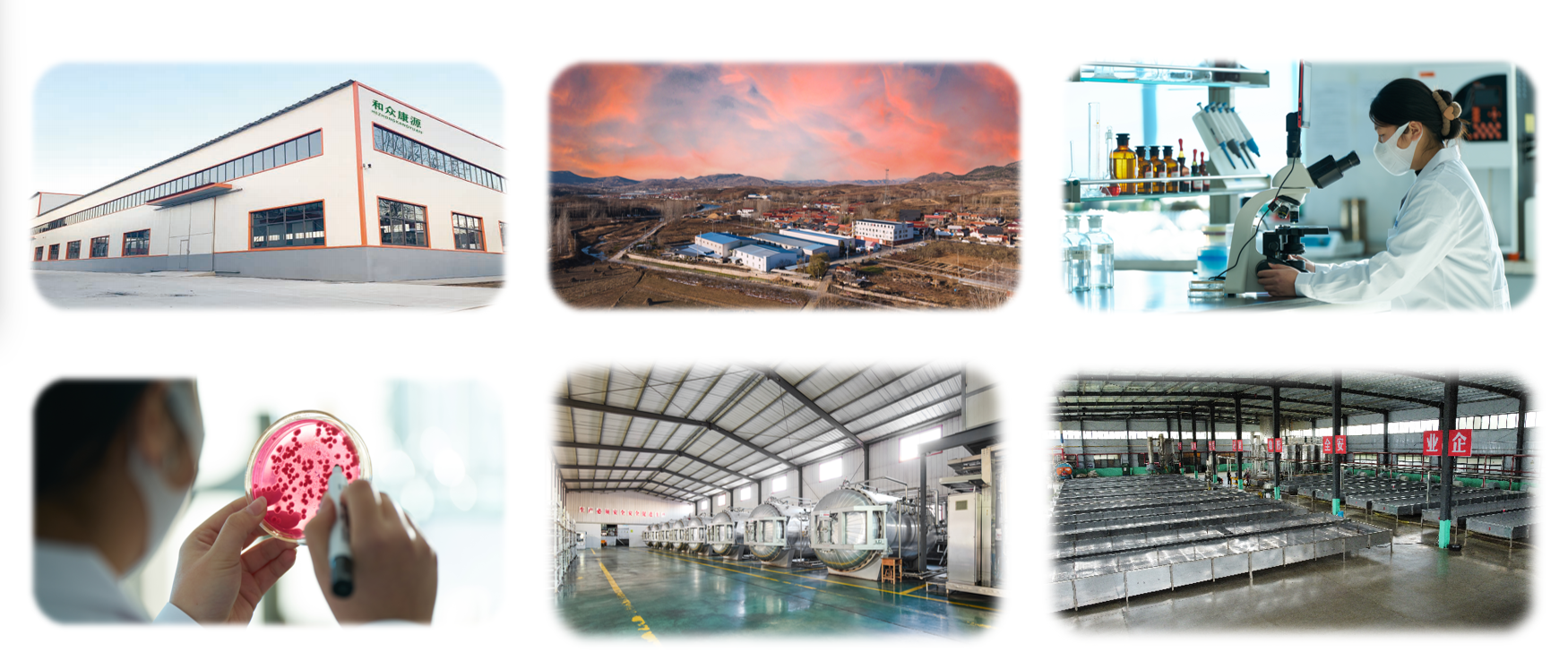 微生物发酵技术应用场景示意