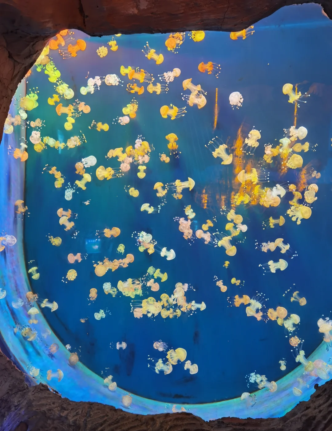 智能调度与效率提升概念图