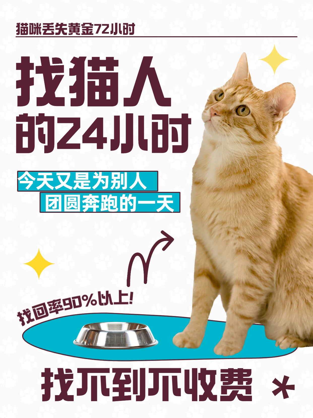 科技设备在寻猫过程中发挥关键作用