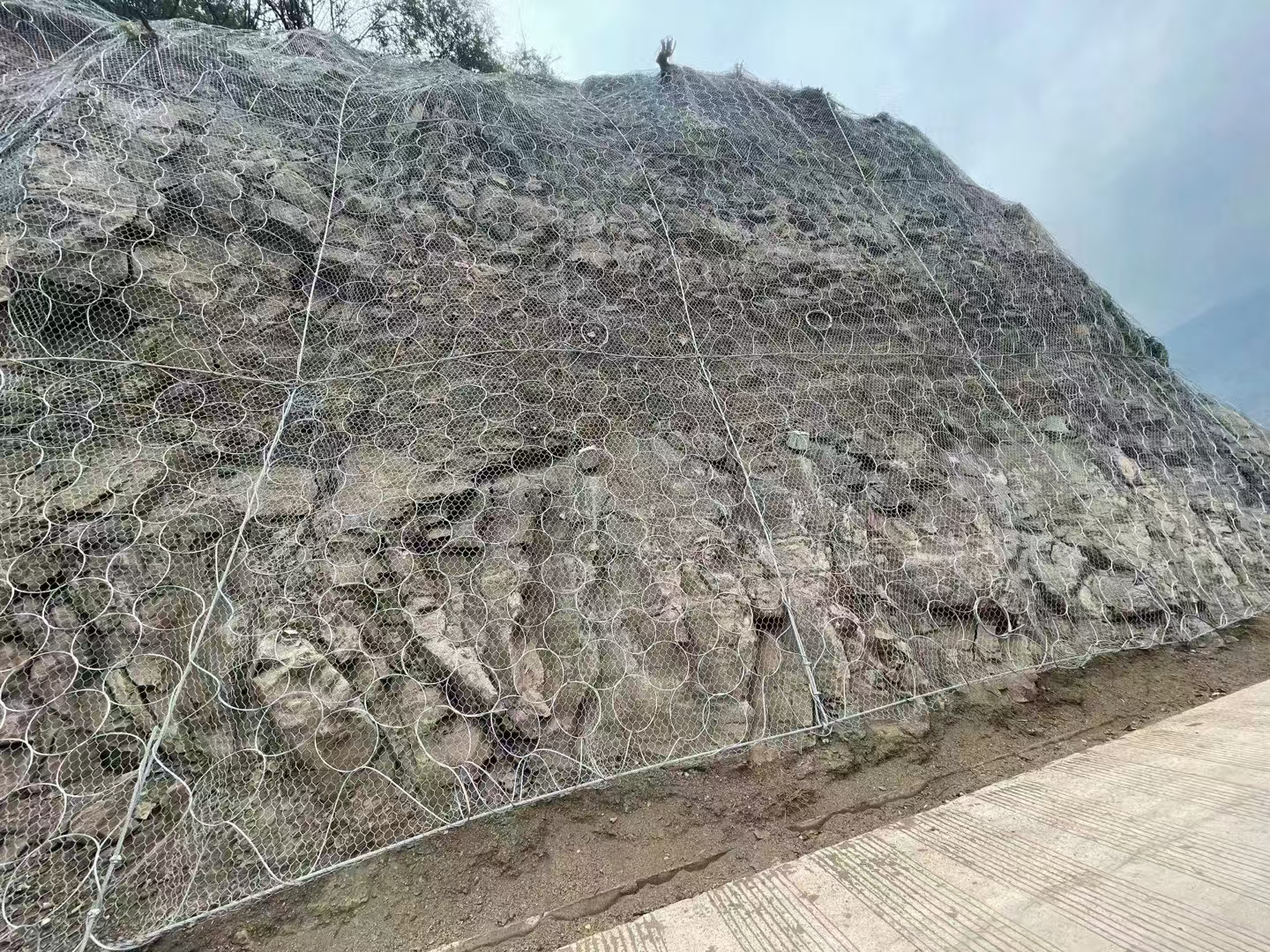 护坡网应用场景示意图