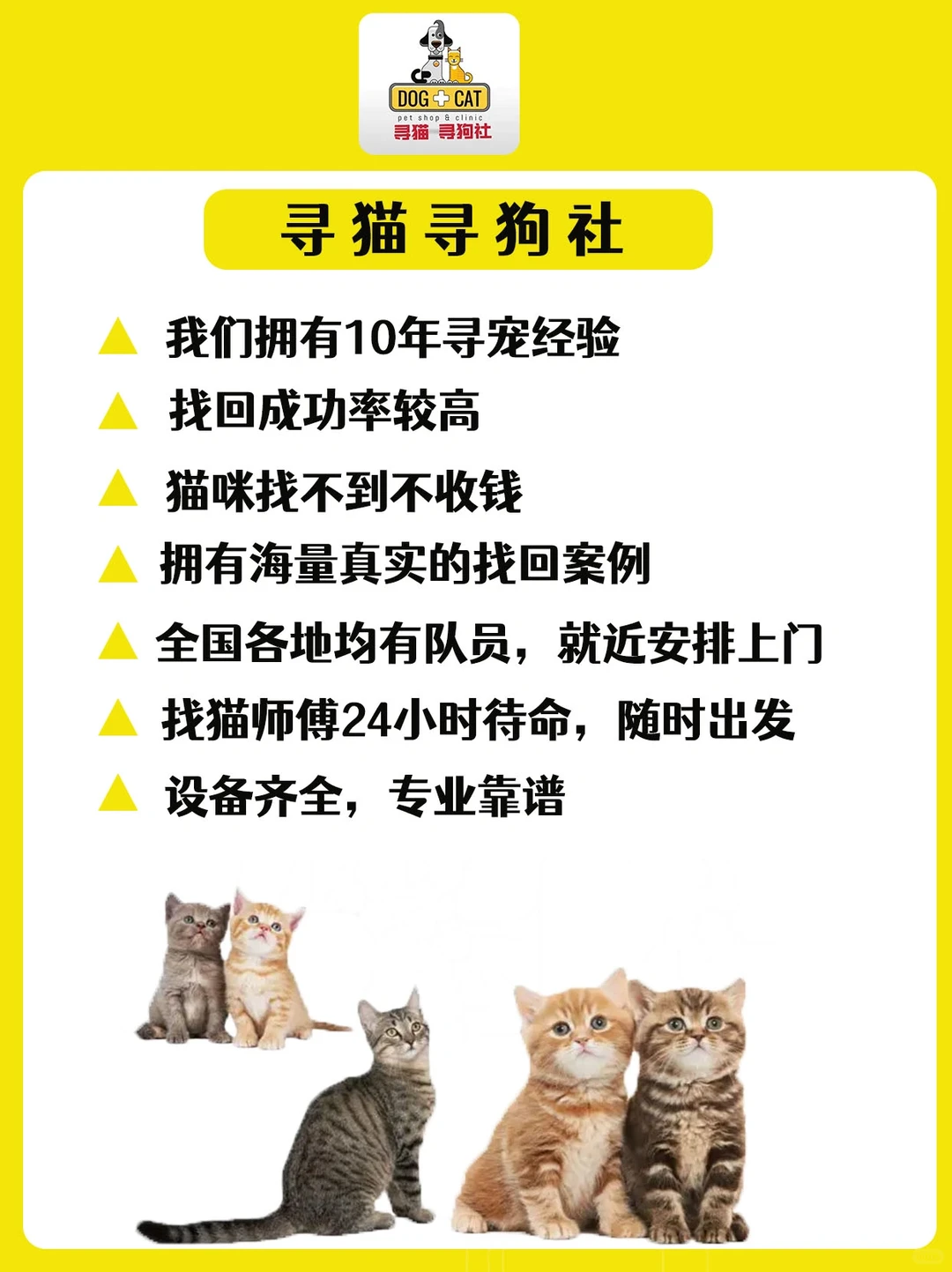 成功寻回猫咪的温馨瞬间