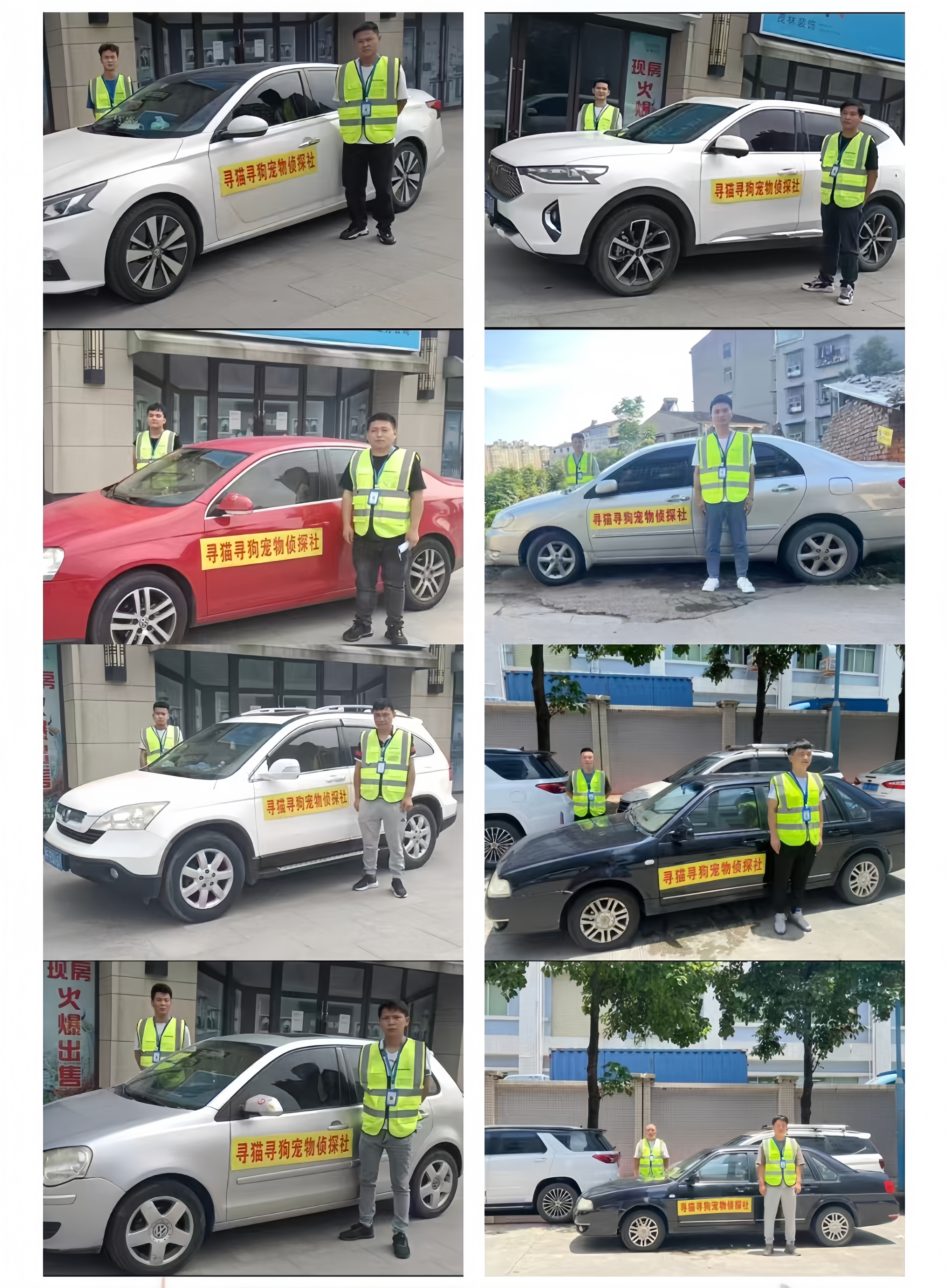 专业寻猫服务流程概念图