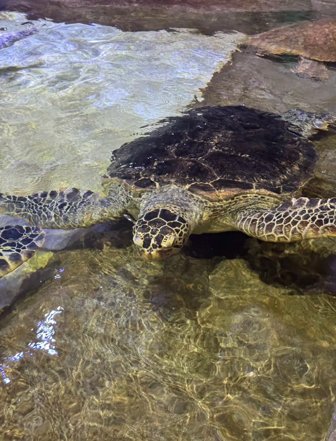 非遗文化体验场景