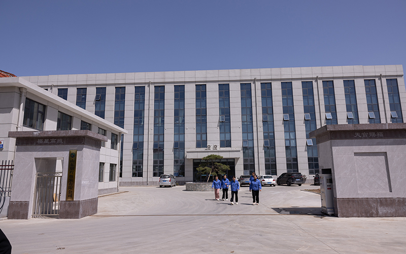 3D数字设计展示