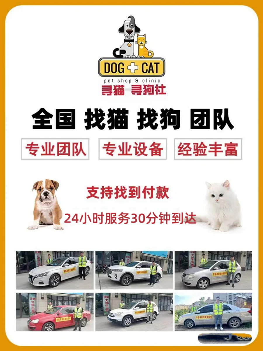 上海宠邦德寻宠科技服务有限公司服务场景二