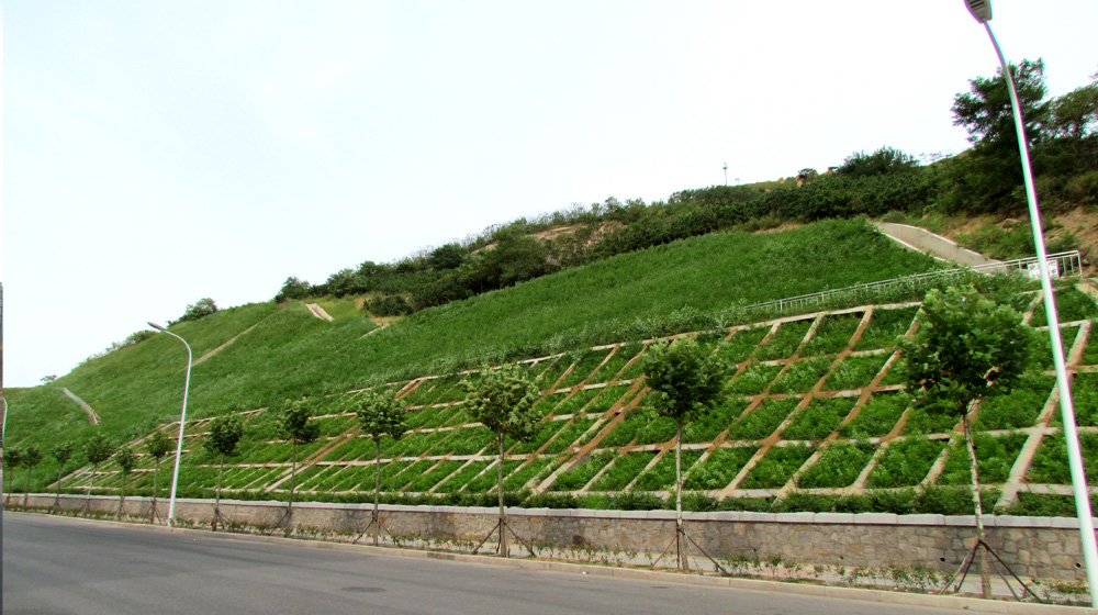 客土喷播技术修复后的边坡生态效果