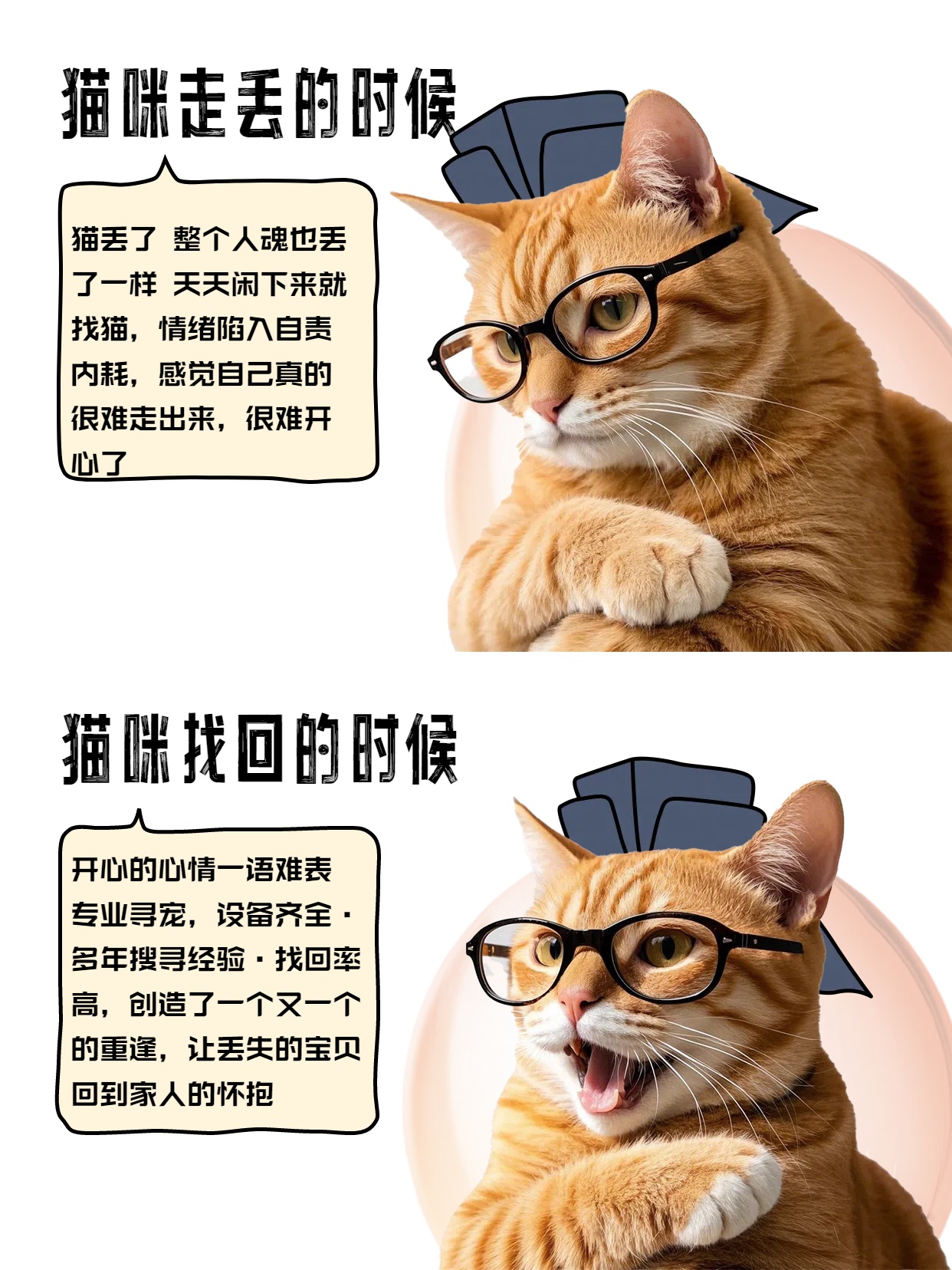 专业寻猫设备展示