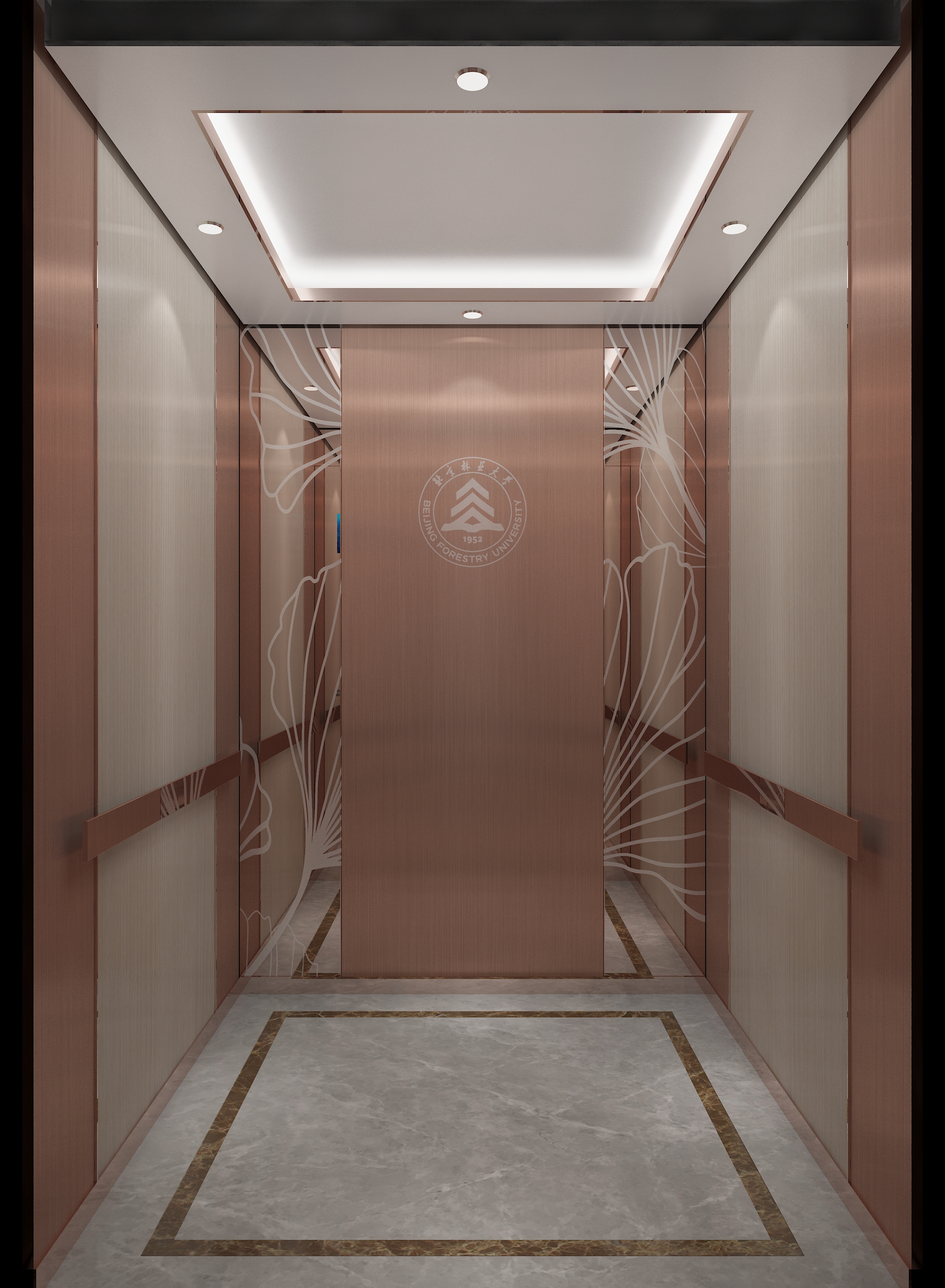 安徽梯友电梯装潢案例