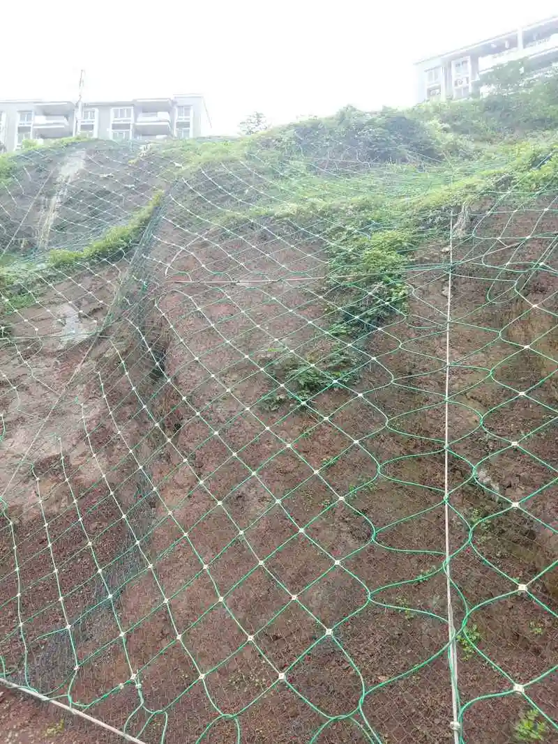 边坡防护网细节展示