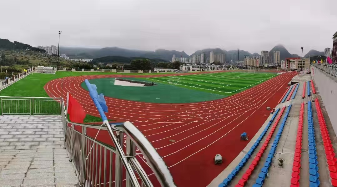 专业运动场地整体效果