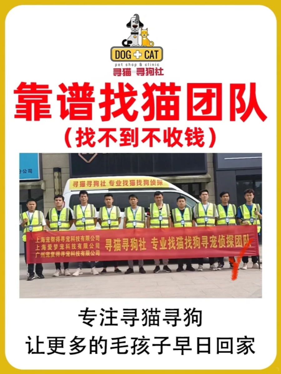 成功寻回猫咪，重逢的温馨瞬间