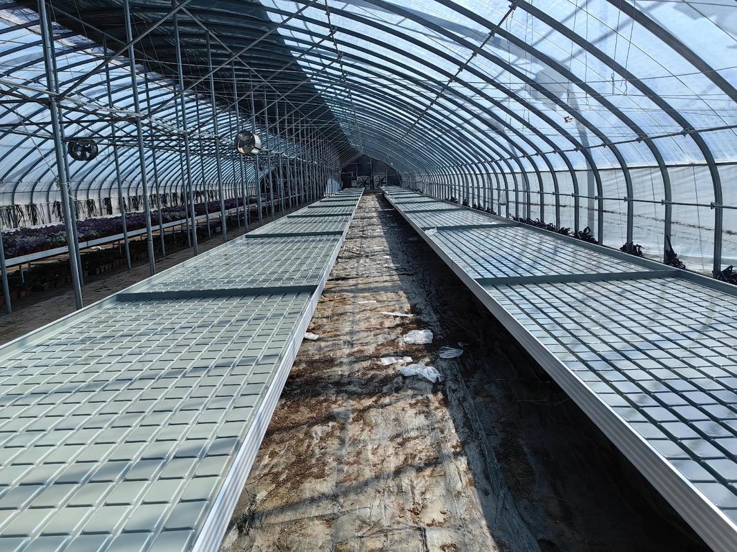 苗床网在温室中的应用