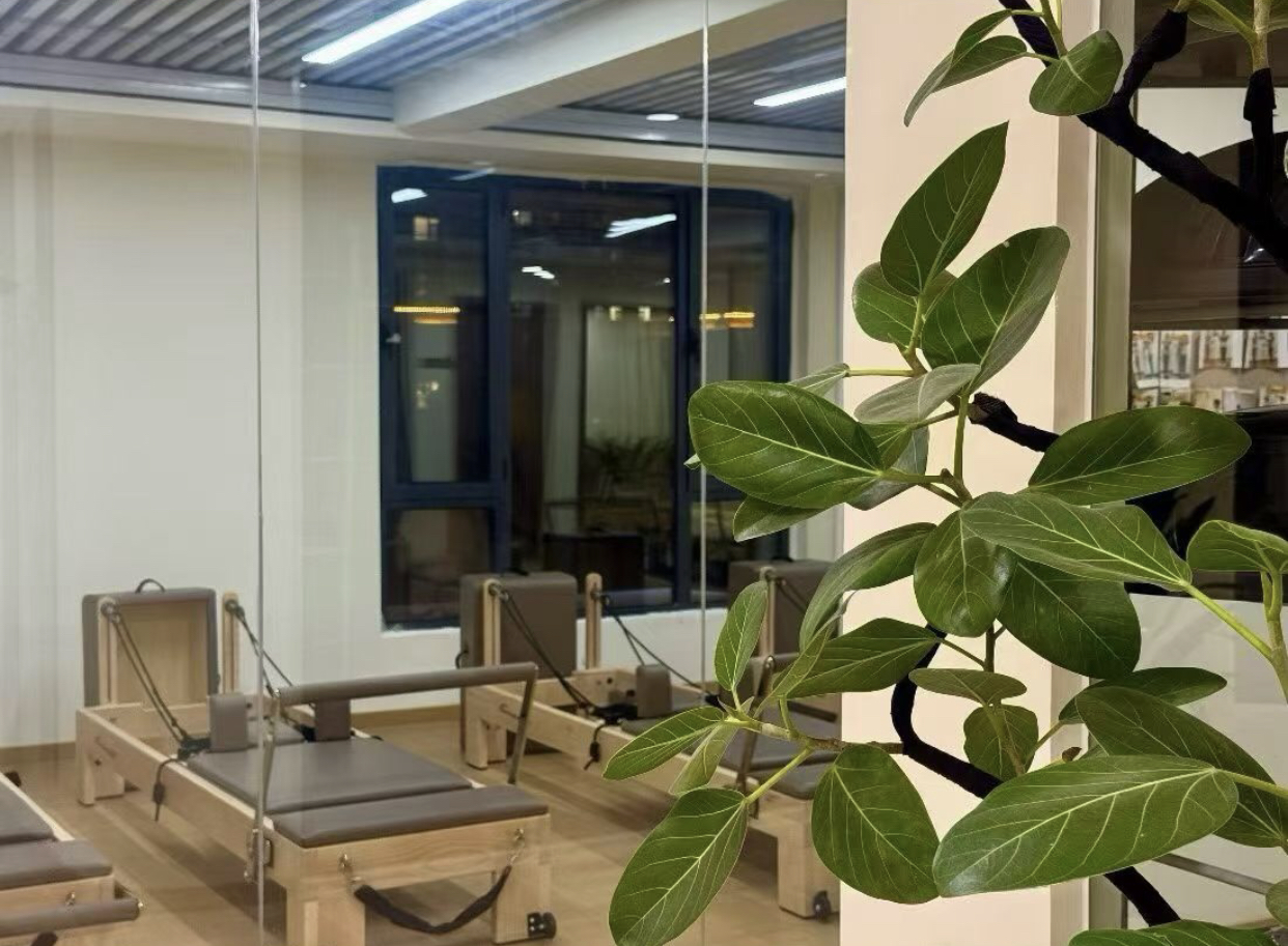 圣珈瑜伽环境一