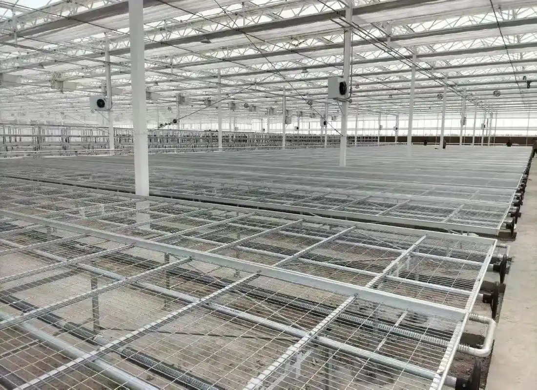 现代化育苗场景