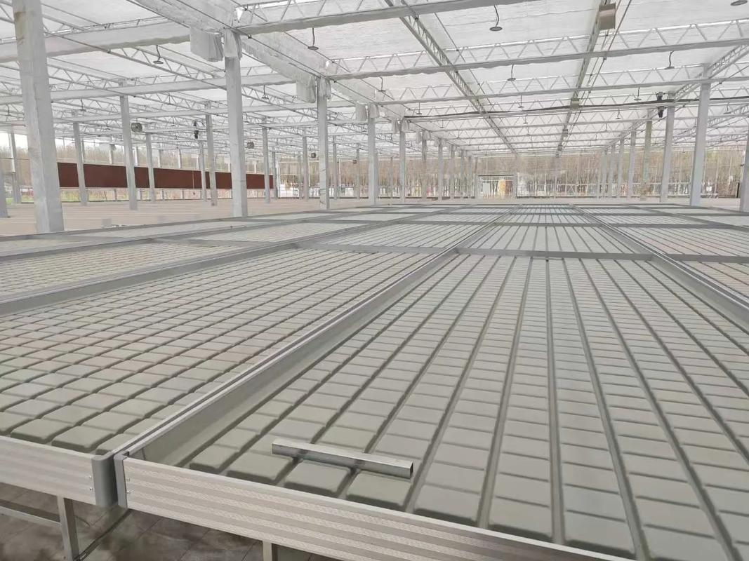 现代化苗床生产场景