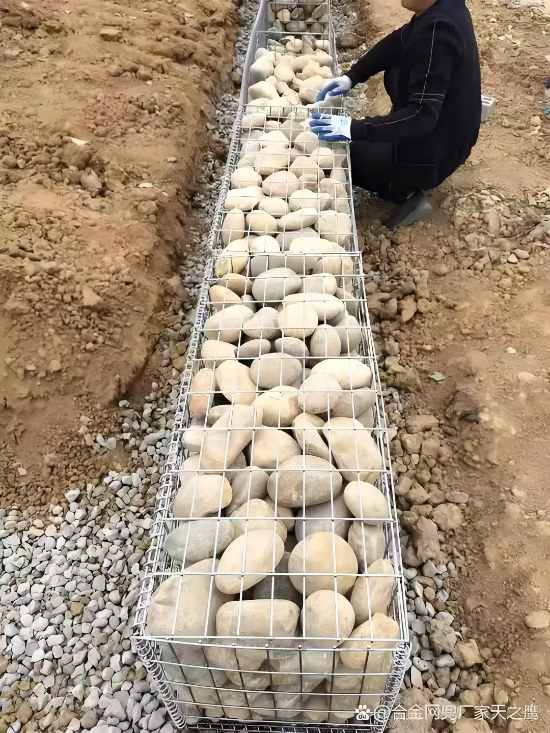 不同规格格宾网产品展示