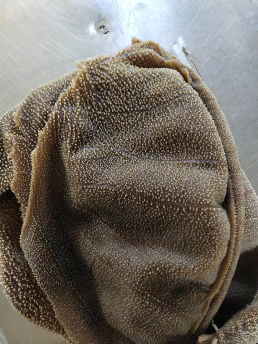 现代化冷链仓储示意