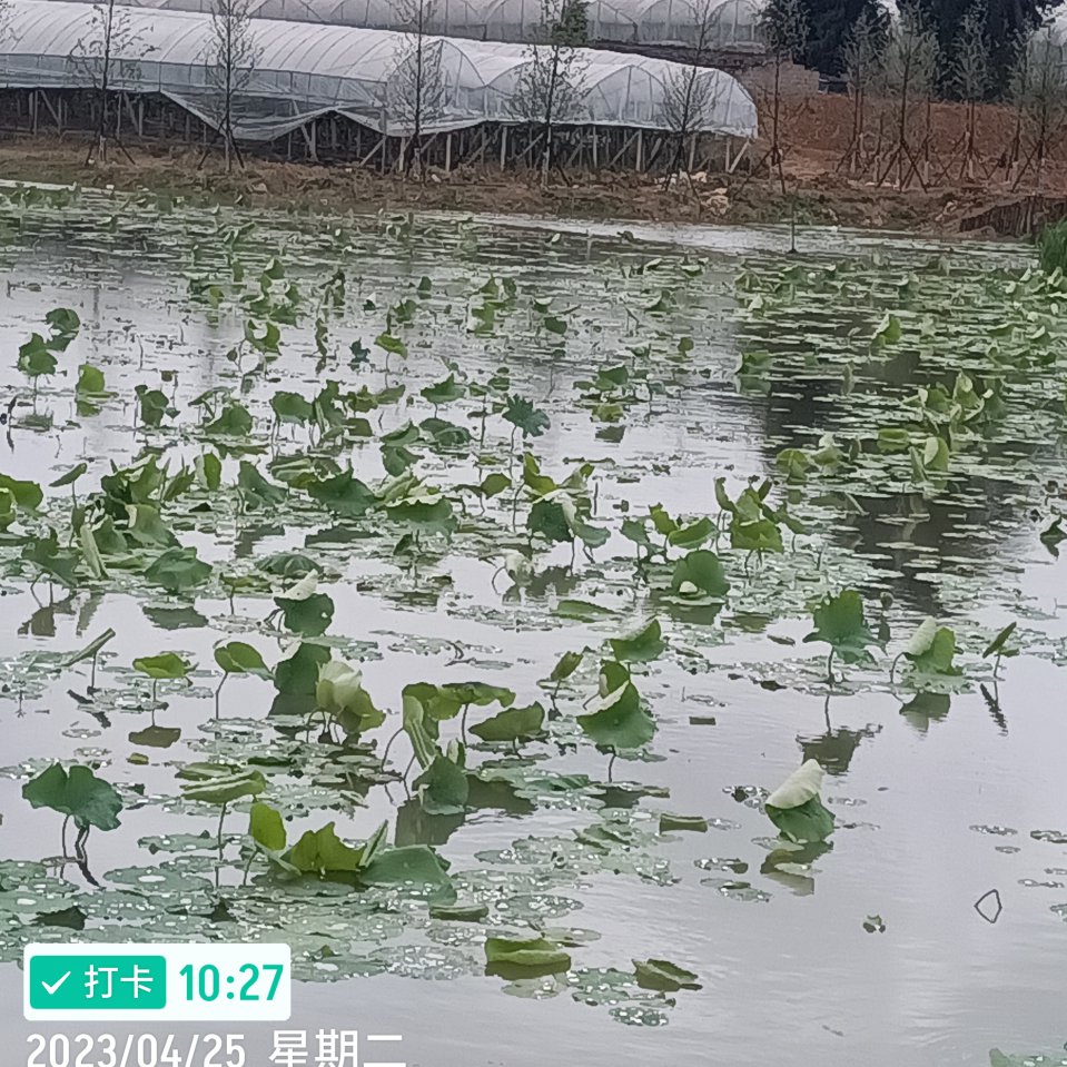 微信图片_20260316141204_98_810.jpg