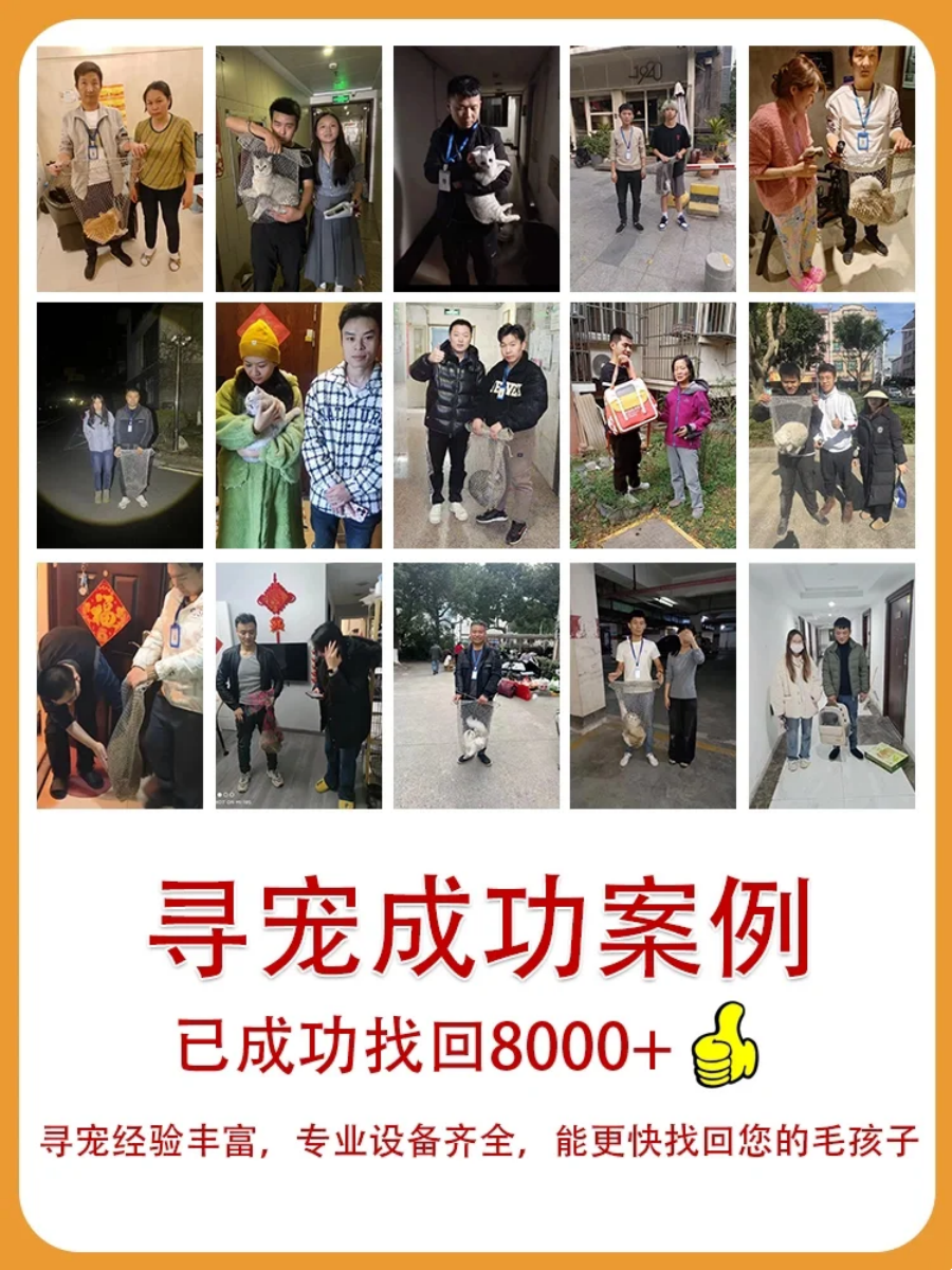 成功寻回猫咪的温馨瞬间