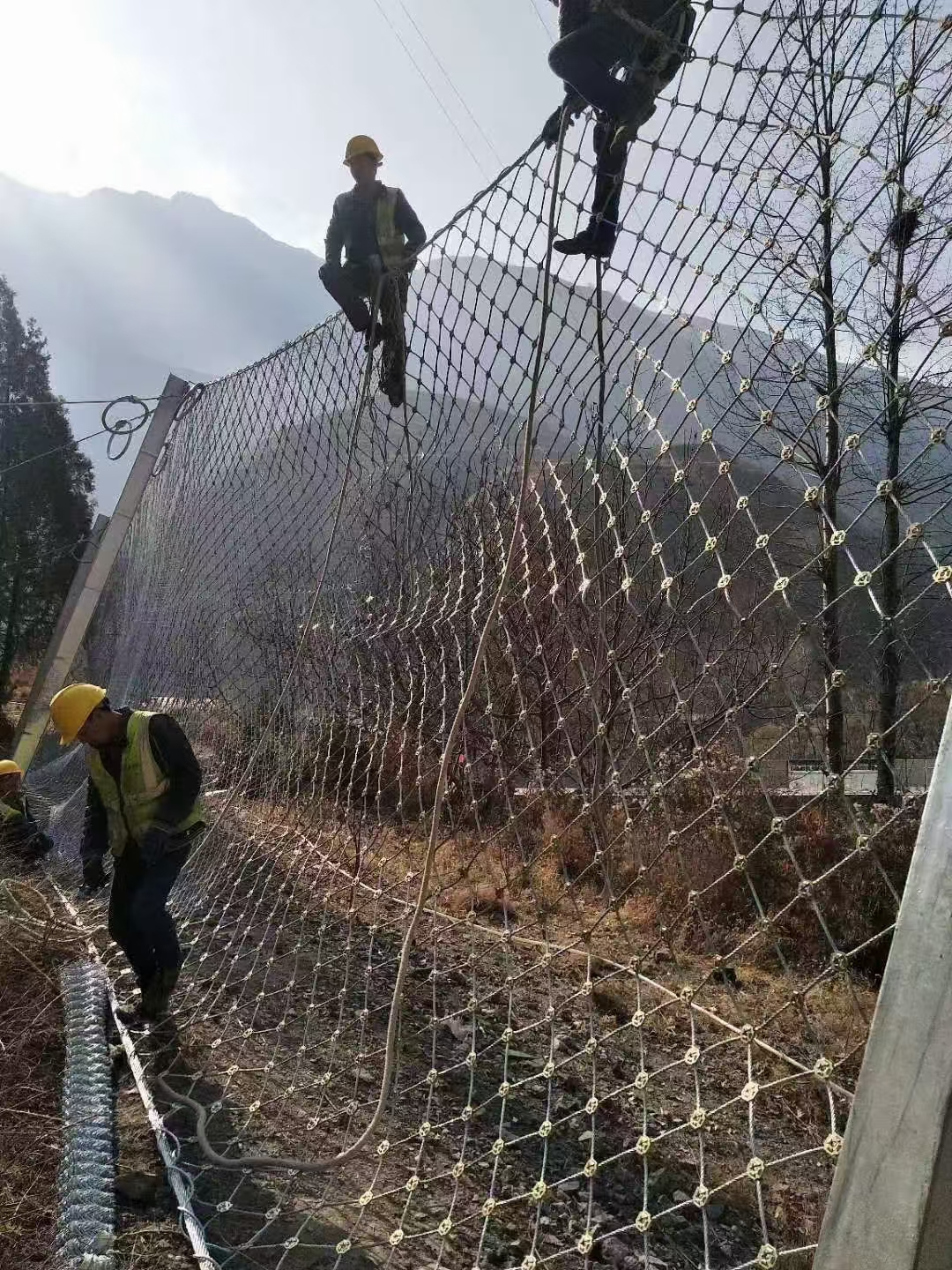 护栏网 