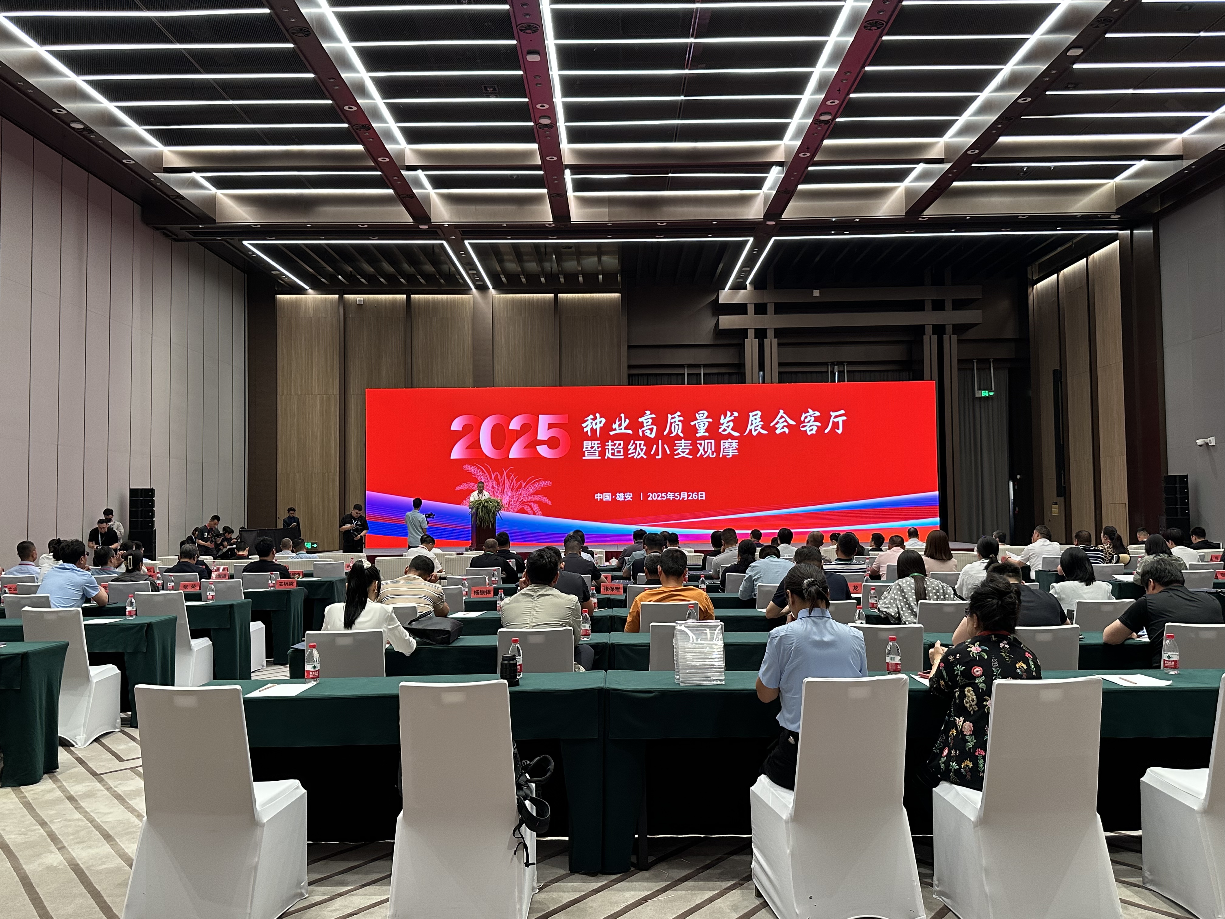 保定短视频运营公司