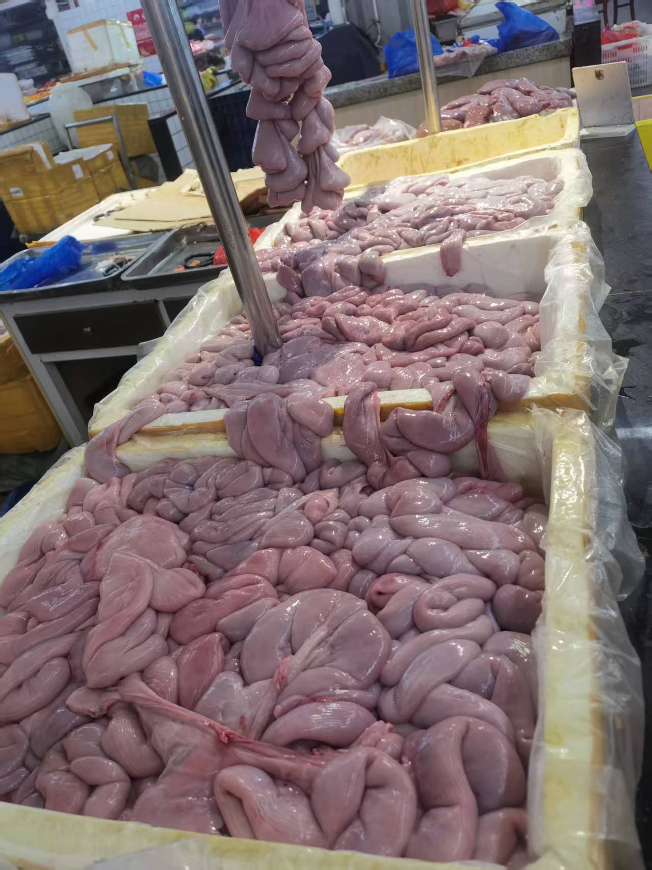 猪副产品展示