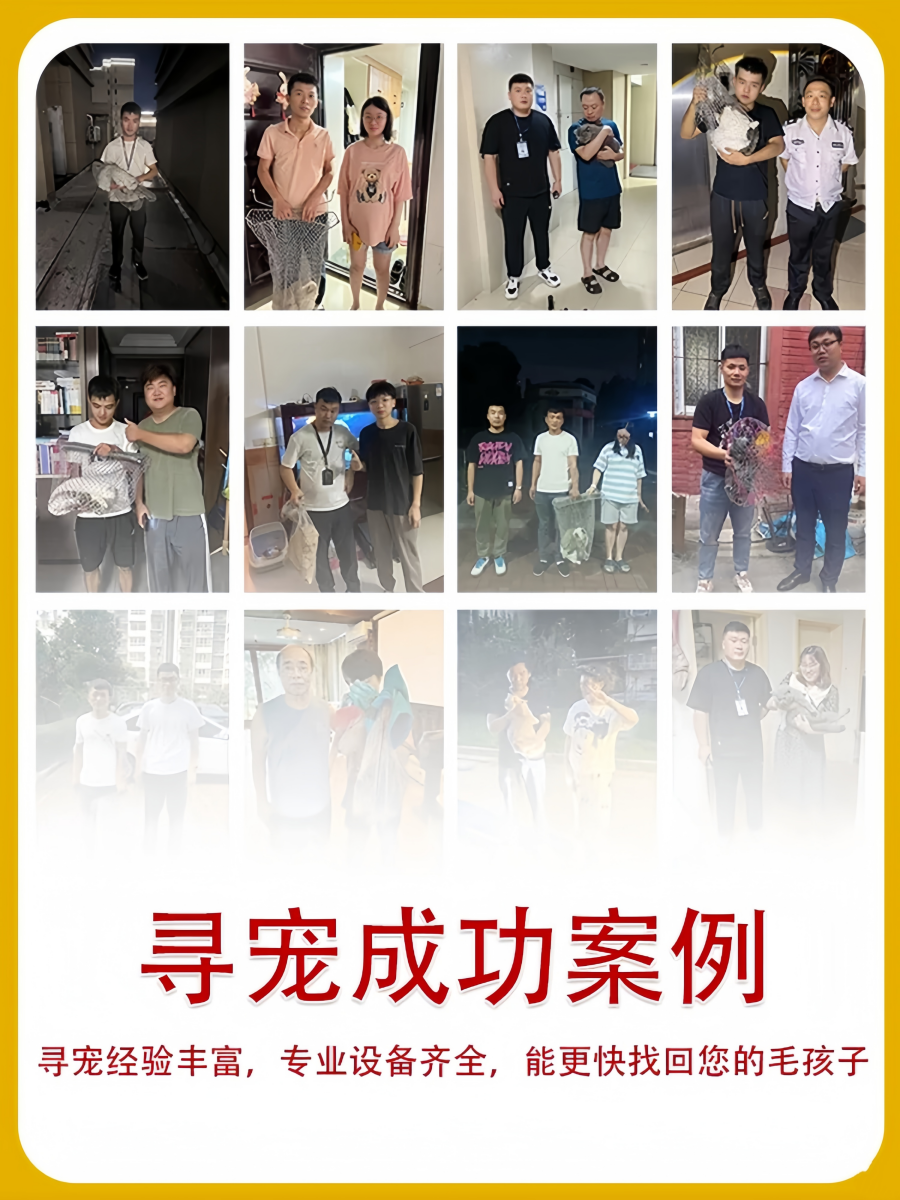 寻宠服务团队工作现场