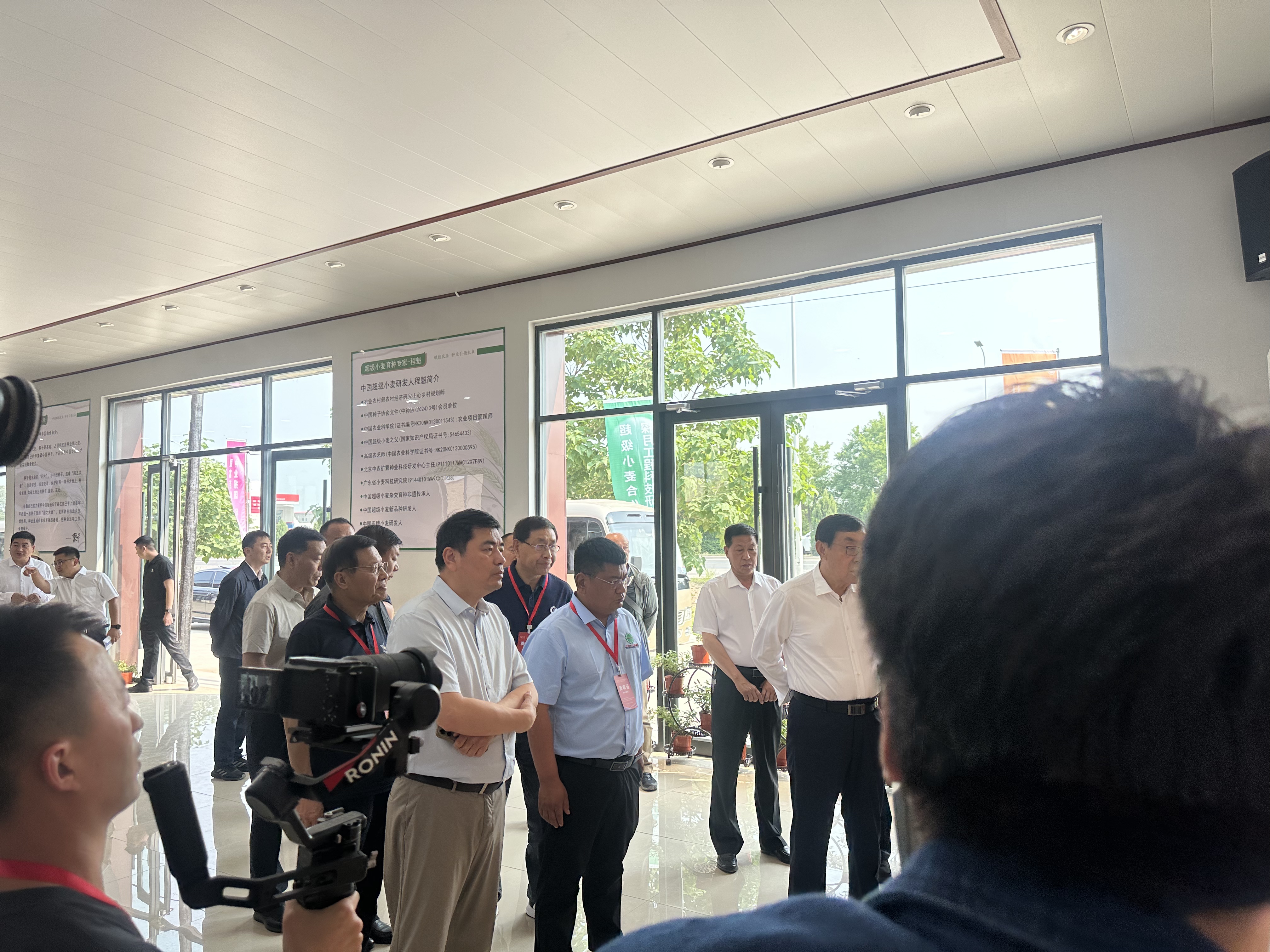 保定站保定IP打造公司 - 一站式服务