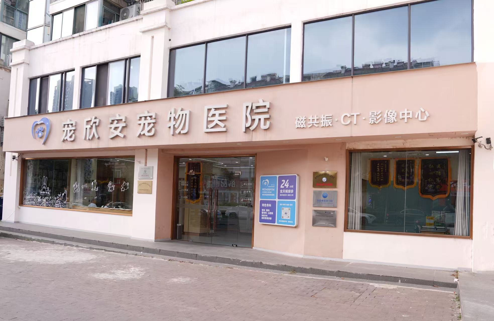 专家团队