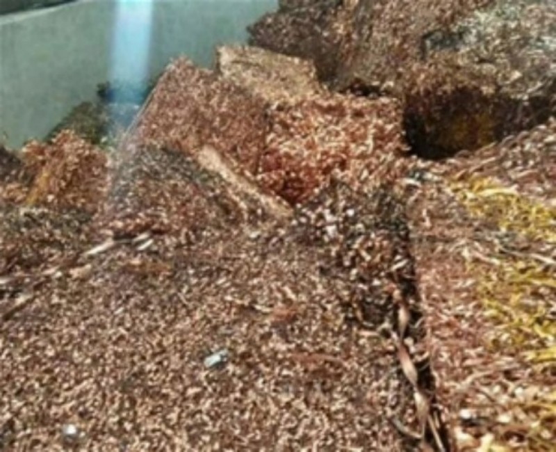 s201912101662458.jpg